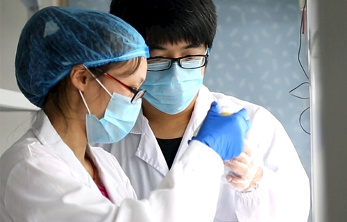 公司将持续深化技术创新，优化供应链管理，强化与政府