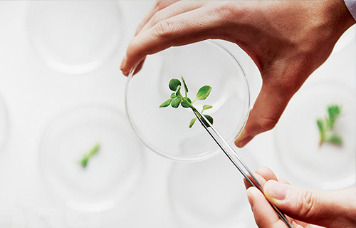 公司注重研发与技术服务，通过整合上下游资源